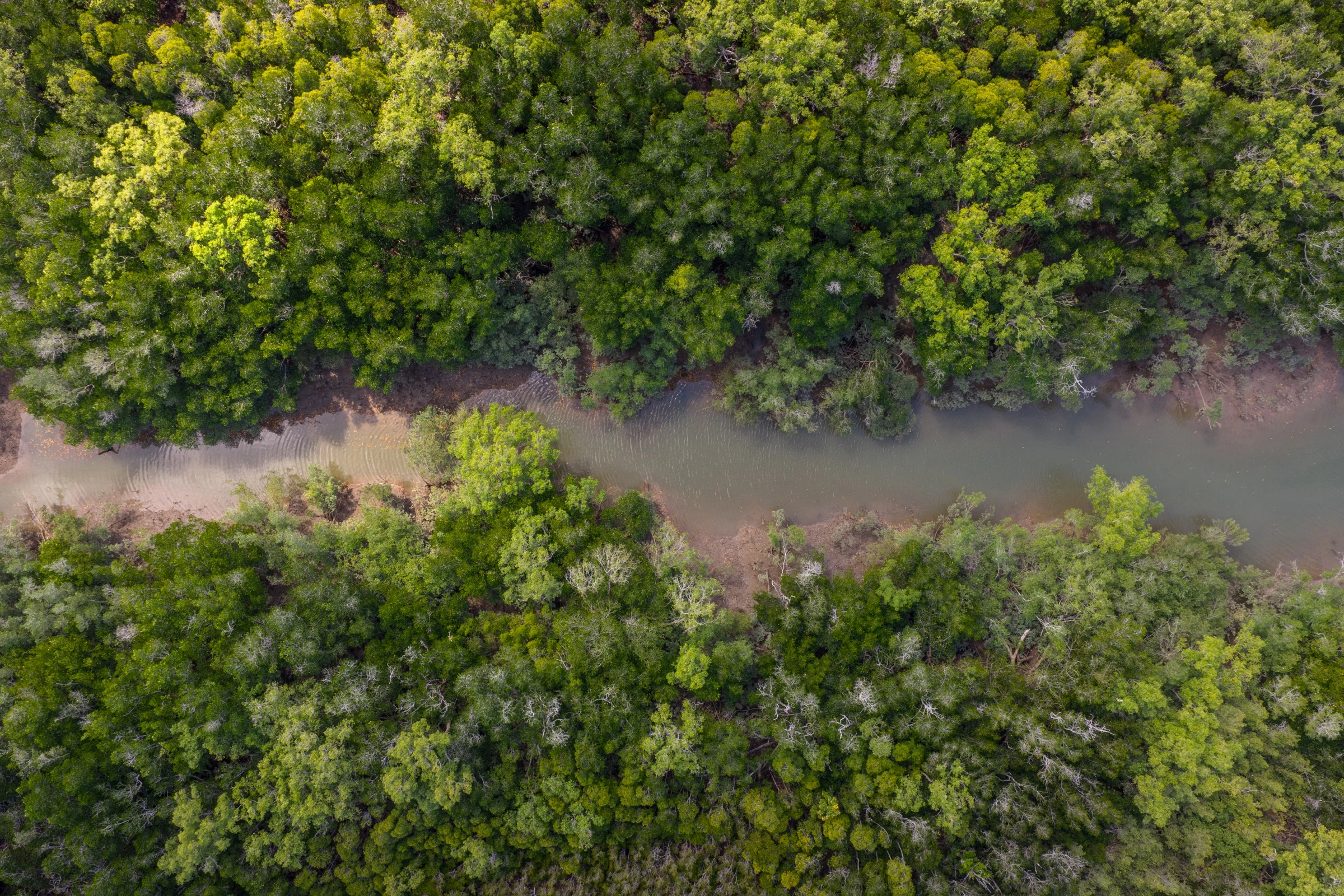 Aerial landscape photography, Northern Territory